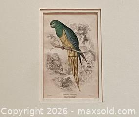 MaxSold Auction: Pair Hand-colored Edward Lear Engravings  - Douglas (Massachusetts, USA) PARTNER MANAGED Estate Sale Online Auction - Southwest Main Street