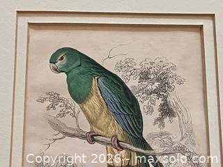 MaxSold Auction: Pair Hand-colored Edward Lear Engravings  - Douglas (Massachusetts, USA) PARTNER MANAGED Estate Sale Online Auction - Southwest Main Street