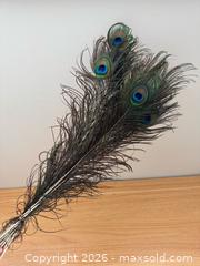MaxSold Auction: Bundle of Peacock Feathers for Vase Decoration  - Kingston (Ontario, Canada) SELLER MANAGED Downsizing Online Auction - Bishop Street