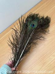 MaxSold Auction: Bundle of Peacock Feathers for Vase Decoration  - Kingston (Ontario, Canada) SELLER MANAGED Downsizing Online Auction - Bishop Street