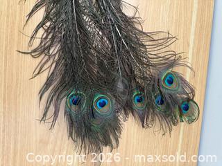 MaxSold Auction: Bundle of Peacock Feathers for Vase Decoration  - Kingston (Ontario, Canada) SELLER MANAGED Downsizing Online Auction - Bishop Street