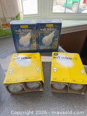 MaxSold Auction: Household Supplies Bundle: Paper Towels, Tissues, Bulbs, Umbrellas B - Kingston (Massachusetts, USA) PARTNER MANAGED Estate Sale Online Auction - Grove Street