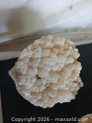 MaxSold Auction: Collection of Rocks – 4 - Sun City (Arizona, USA) SELLER MANAGED Reseller Online Auction - West Forrester Drive