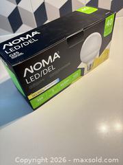 MaxSold Auction: NOMA G25 Globe LED Bulb E26 5W 350lm 2700K (3-Pack) - Toronto (Ontario, Canada) SELLER MANAGED Downsizing Online Auction - Poplar Plains Road