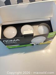 MaxSold Auction: NOMA G25 Globe LED Bulb E26 5W 350lm 2700K (3-Pack) - Toronto (Ontario, Canada) SELLER MANAGED Downsizing Online Auction - Poplar Plains Road