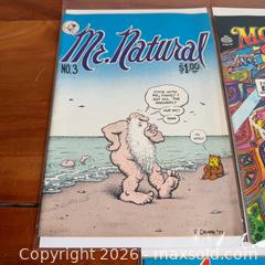 MaxSold Auction: Vintage Lot of Comics | Lot #2  - Toronto (Ontario, Canada) SELLER MANAGED Reseller Online Auction -  Crouse Road (STORAGE)