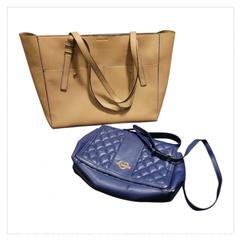 MaxSold Auction: Love Moschino Crossbody & Love & Lore Tote Bag Lot - Tillsonburg (Ontario, Canada) SELLER MANAGED Reseller Online Auction -  Wilson Avenue