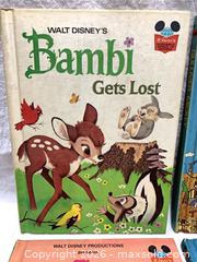 MaxSold Auction: Vintage Disney hardcover books - Hamilton (Ontario, Canada) SELLER MANAGED Estate Sale Online Auction -  Chegwin Street