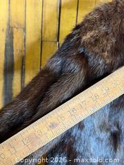 MaxSold Auction: Vintage Canadian Beaver Fur Coat - Hamilton (Ontario, Canada) SELLER MANAGED Estate Sale Online Auction - Gertrude Street