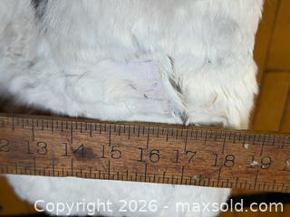 MaxSold Auction: Vintage Rabbit Fur Vest - Satin Lined - Hamilton (Ontario, Canada) SELLER MANAGED Estate Sale Online Auction - Gertrude Street