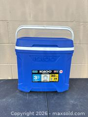 MaxSold Auction: Igloo 30-Quart Hard-Sided Cooler - Decatur (Georgia, USA) SELLER MANAGED Reseller Online Auction - North Druid Hills Road (STORAGE)