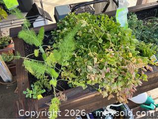 MaxSold Auction: Planter Box And Garden Tools - Gilroy (California, USA) SELLER MANAGED Estate Sale Online Auction - Santa Paula Drive