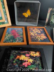 MaxSold Auction: Assorted Picture Frames – Wood & Metal, Glass/Acrylic, Various Sizes (9) - Ottawa (Ontario, Canada) SELLER MANAGED Downsizing Online Auction - Regiment Avenue