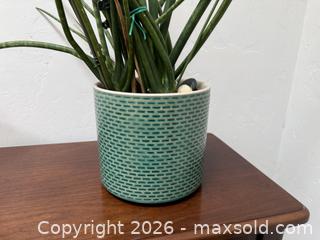 MaxSold Auction: Large Vintage Succulent in Very Nice Pot!  -  Mountain View (California, USA) SELLER MANAGED Estate Sale Online Auction - Clark Avenue