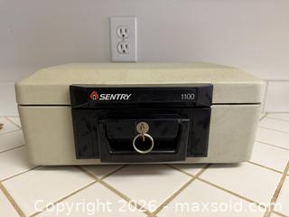 MaxSold Auction: Sentry Fire Safe Short -  Mountain View (California, USA) SELLER MANAGED Estate Sale Online Auction - Clark Avenue