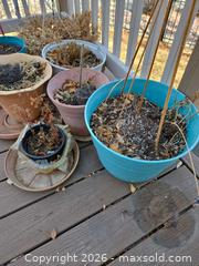 MaxSold Auction: 7 Flower Pots, 3 tall stakes, 2 0ther containers, see pictures - Longmont (Colorado, USA) PARTNER MANAGED Estate Sale Online Auction - Whitehall Drive