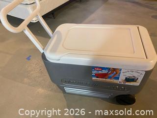MaxSold Auction: Igloo cooler - Longmont (Colorado, USA) PARTNER MANAGED Estate Sale Online Auction - Whitehall Drive