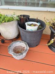 MaxSold Auction: Black/Gray Plastic & Concrete Planters with Plants - Saanich (British Columbia, Canada) PARTNER MANAGED Moving Online Auction - Treetop Heights