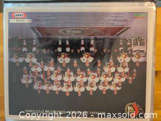 MaxSold Auction: 1993-1994 Ottawa Senators Limited Edition Photo Set (95/400) - Ottawa (Ontario, Canada) SELLER MANAGED Downsizing Online Auction - Regiment Avenue