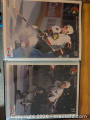 MaxSold Auction: 1993-1994 Ottawa Senators Limited Edition Photo Set (95/400) - Ottawa (Ontario, Canada) SELLER MANAGED Downsizing Online Auction - Regiment Avenue