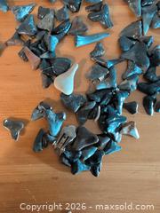 MaxSold Auction: Fossil Shark Teeth (Fossilized Enamel), 50–100 Small Pieces - Ottawa (Ontario, Canada) SELLER MANAGED Downsizing Online Auction - Regiment Avenue