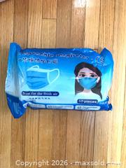 MaxSold Auction: Face Mask - Toronto (Ontario, Canada) PARTNER MANAGED Estate Sale Online Auction - Glencairn Avenue