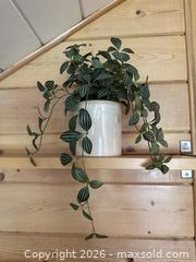 MaxSold Auction: Faux Plant in Ivory Ceramic Pot - San Jose (California, USA) SELLER MANAGED Estate Sale Online Auction - South 16th Street