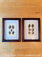 MaxSold Auction: Set of 2 Framed Shell Prints in Dark Wood Frames - Saanich (British Columbia, Canada) PARTNER MANAGED Downsizing Online Auction - Gordon Point Drive