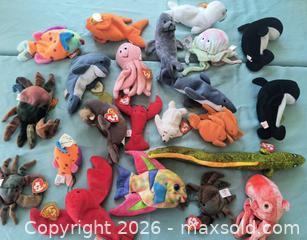 MaxSold Auction: Sea World Beanie Babies  - Gloucester (Massachusetts, USA) SELLER MANAGED Downsizing Online Auction -  Fremont Street