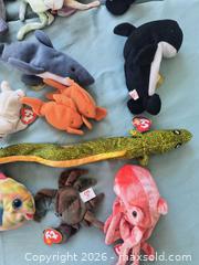 MaxSold Auction: Sea World Beanie Babies  - Gloucester (Massachusetts, USA) SELLER MANAGED Downsizing Online Auction -  Fremont Street