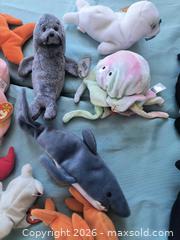 MaxSold Auction: Sea World Beanie Babies  - Gloucester (Massachusetts, USA) SELLER MANAGED Downsizing Online Auction -  Fremont Street