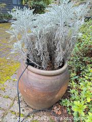 MaxSold Auction: Brown Ceramic Outdoor Planters, Two Stoneware Pots - Saanich (British Columbia, Canada) PARTNER MANAGED Moving Online Auction - Arbutus Road