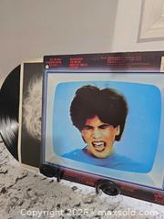 MaxSold Auction: RARE- BERLIN Record - Kingston (Ontario, Canada) SELLER MANAGED Downsizing Online Auction - Morenz Cresecent