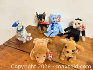 MaxSold Auction: Beanie baby collection lot 428 - Ottawa (Ontario, Canada) SELLER MANAGED Downsizing Online Auction -  Cinnabar
