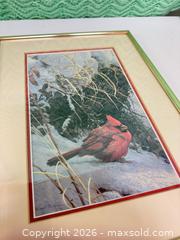 MaxSold Auction: Robert Bateman 1978 red cardinal in snow print  - Ottawa (Ontario, Canada) SELLER MANAGED Downsizing Online Auction -  Cinnabar