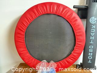 MaxSold Auction: Trampoline, Rower, and weight balls - Ottawa (Ontario, Canada) SELLER MANAGED Downsizing Online Auction -  Cinnabar