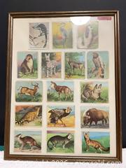 MaxSold Auction: Framed Collection of 16 Animal Tobacco Cards by Hassan - Phoenixville (Pennsylvania, USA) SELLER MANAGED Estate Sale Online Auction - Vanderslice Street