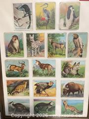 MaxSold Auction: Framed Collection of 16 Animal Tobacco Cards by Hassan - Phoenixville (Pennsylvania, USA) SELLER MANAGED Estate Sale Online Auction - Vanderslice Street