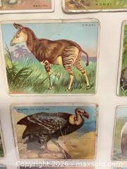 MaxSold Auction: Framed Collection of 16 Animal Tobacco Cards by Hassan - Phoenixville (Pennsylvania, USA) SELLER MANAGED Estate Sale Online Auction - Vanderslice Street