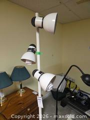 MaxSold Auction: Pair of Metal Floor Lamps — Multi-head & Gooseneck A - Ottawa (Ontario, Canada) PARTNER MANAGED Downsizing Online Auction - Topley Crescent