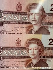MaxSold Auction: Vintage Framed 1986 Uncut Sheet Of 40 Canadian $2 Bills (Birds Of Canada Series) - Toronto (Ontario, Canada) PARTNER MANAGED Reseller Online Auction - Queen Street West