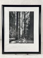 MaxSold Auction: Ansel Adams “Redwoods, Founders Grove” Poster Print - Campbell (California, USA) PARTNER MANAGED Estate Sale Online Auction -  Dell Avenue