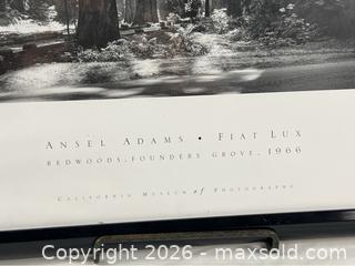 MaxSold Auction: Ansel Adams “Redwoods, Founders Grove” Poster Print - Campbell (California, USA) PARTNER MANAGED Estate Sale Online Auction -  Dell Avenue