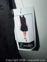MaxSold Auction: $90 TAG NWT EVERLILY LADIES LARGE ADORABLE BLACK SLEEVELESS MINI RUFFLE DRESS  - Warwick Township (Pennsylvania, USA) SELLER MANAGED Estate Sale Online Auction - Crocker Lane