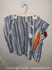 MaxSold Auction: NWT LADIES PLUS SIZE XXL BRIGGS BLUE & WHITE STRIPED STRETCH WAIST COMFY SHORTS  - Warwick Township (Pennsylvania, USA) SELLER MANAGED Estate Sale Online Auction - Crocker Lane