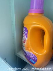 MaxSold Auction: Assorted Cleaning, Laundry, and Garden Supplies - Houston (Texas, USA) SELLER MANAGED Downsizing Online Auction - Coleridge Street