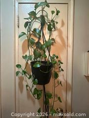 MaxSold Auction: Hanging Porthos  - Toronto (Ontario, Canada) SELLER MANAGED Moving Online Auction - Ontario Street (CONDO)