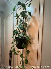 MaxSold Auction: Hanging Porthos  - Toronto (Ontario, Canada) SELLER MANAGED Moving Online Auction - Ontario Street (CONDO)