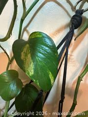 MaxSold Auction: Hanging Porthos  - Toronto (Ontario, Canada) SELLER MANAGED Moving Online Auction - Ontario Street (CONDO)