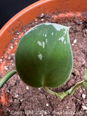 MaxSold Auction: Porthos Mixed  - Toronto (Ontario, Canada) SELLER MANAGED Moving Online Auction - Ontario Street (CONDO)